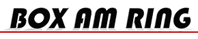 logo_box_am_ring.png